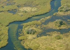 41  Okavango delta